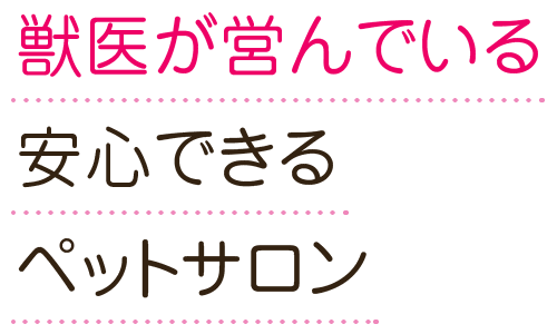 獣医が営んでいる安心できるペットサロン